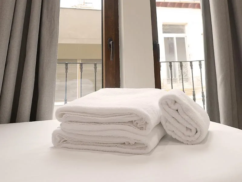 Apartamentos Mesones 3000